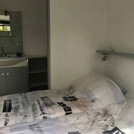 Het Kippenhok, Le Chat *