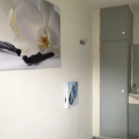 Het Kippenhok, Le Chat *
